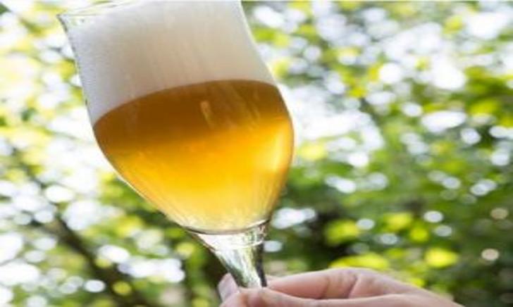 Beer sparkling glas